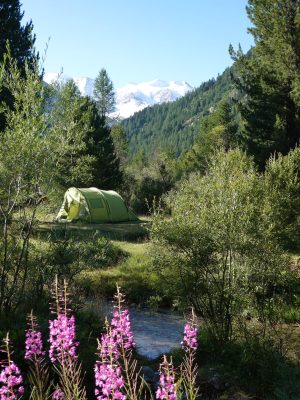 Alleinstehendes XL Zelt am Fluss mit Frühlingsblumen im Vordergrund